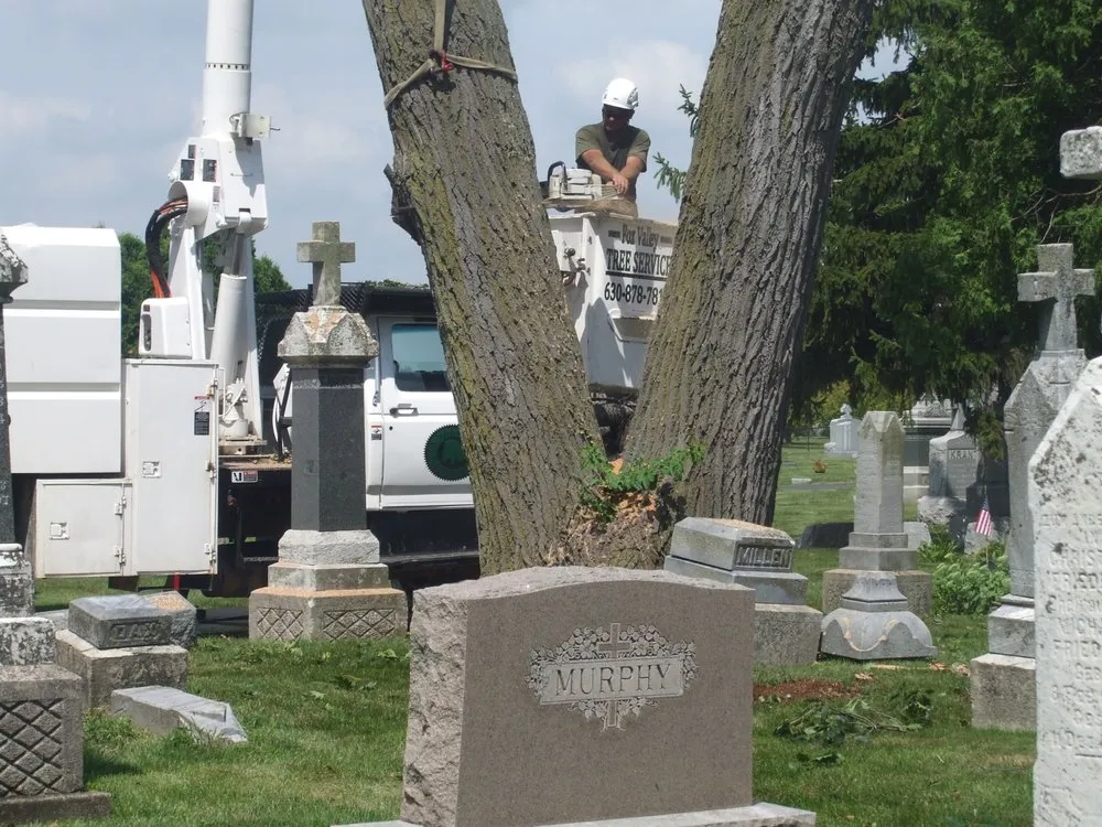 Top-rated yard cleanup service in Geneva, IL by Fox Valley Tree Service