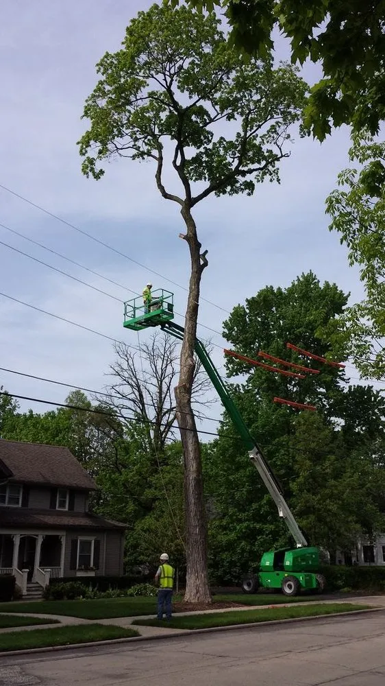 Expert lawn care service in Geneva, IL - Fox Valley Tree Service