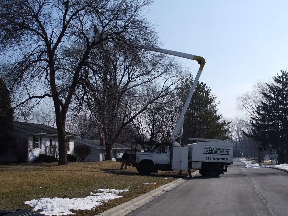 Expert outdoor landscaping for homes across Geneva, IL - Fox Valley Tree Service