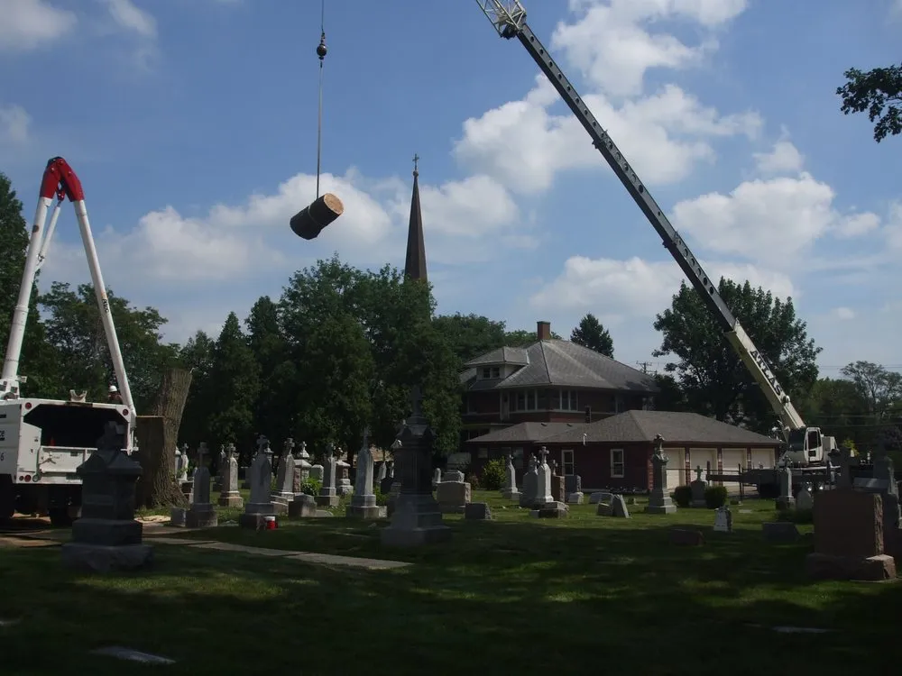 Top-rated yard maintenance experts serving Geneva, IL - Fox Valley Tree Service