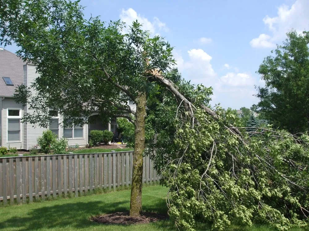 Custom lawn care service in Geneva, IL - Fox Valley Tree Service