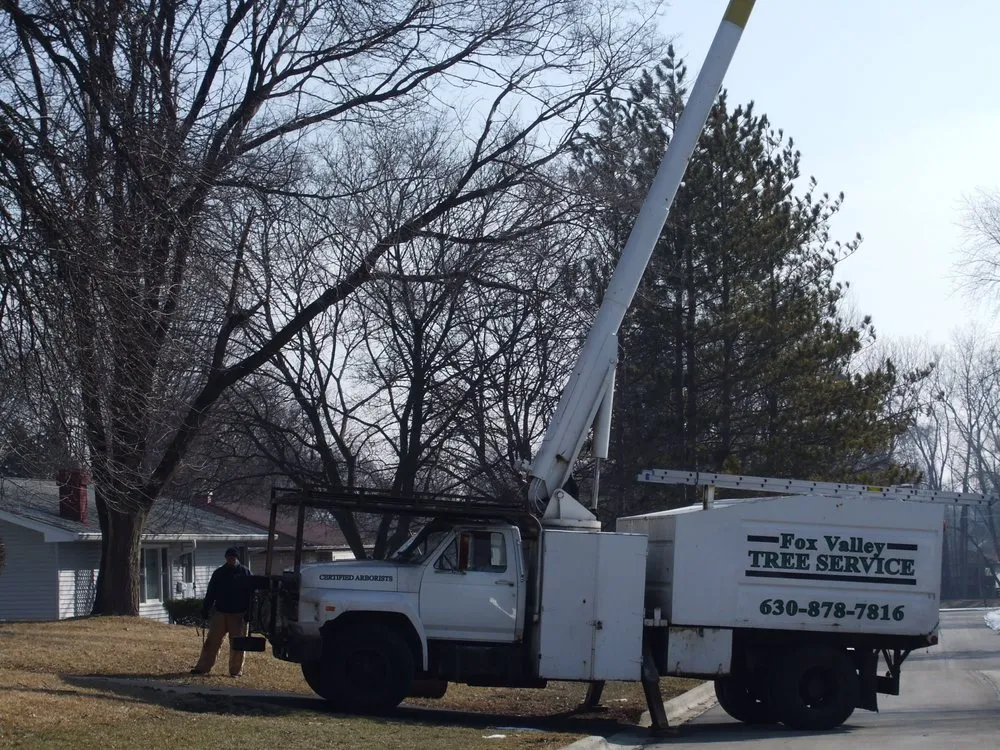 Affordable residential landscaping experts serving Geneva, IL - Fox Valley Tree Service