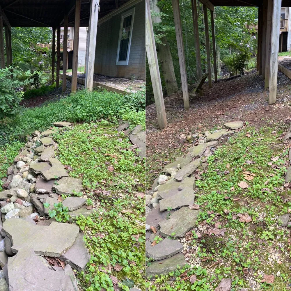 Trusted lawn care service near you across Bel Air, MD - Foxborough Farms Lawn Care