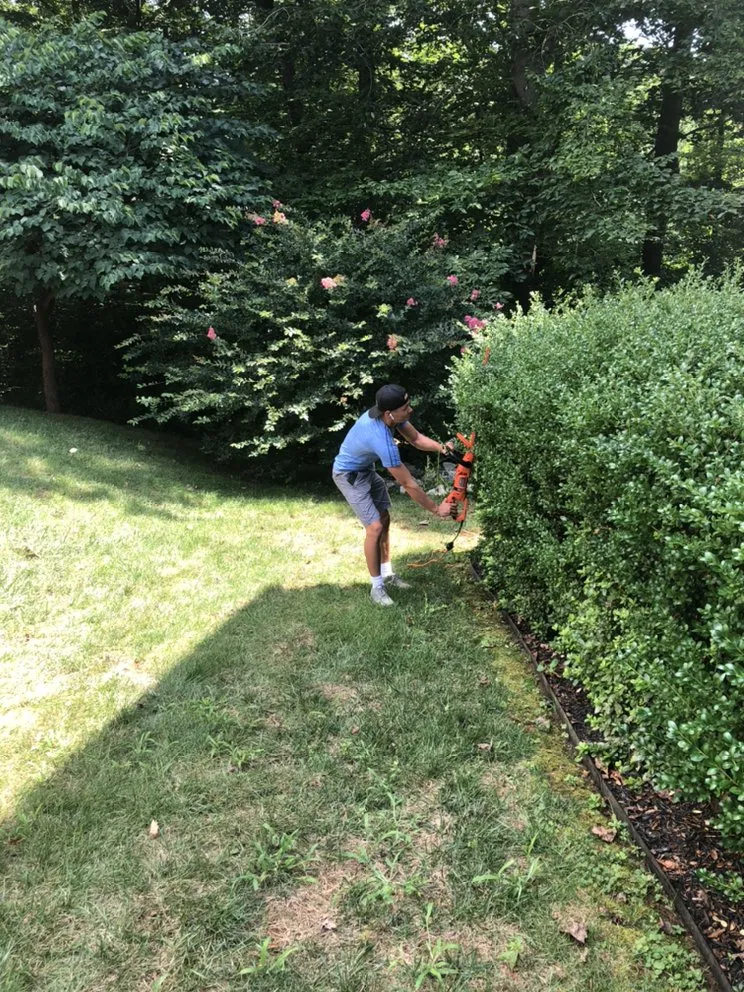 Top-rated landscape installation in Bel Air, MD by Foxborough Farms Lawn Care