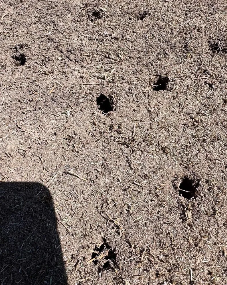 Professional landscaping services in Charlotte, NC - Foxcroft Lawn Care