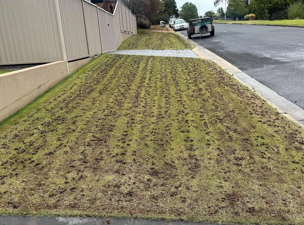 Reliable lawn care service experts serving Charlotte, NC - Foxcroft Lawn Care