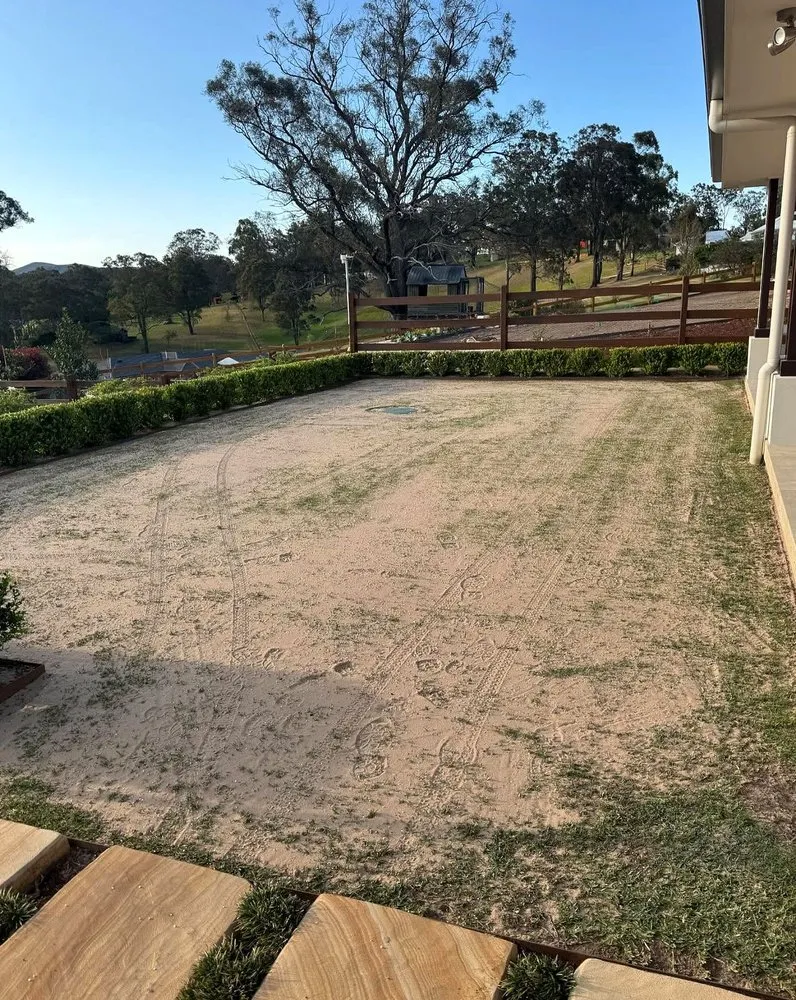 Expert yard maintenance for year-round maintenance in Charlotte, NC by Foxcroft Lawn Care