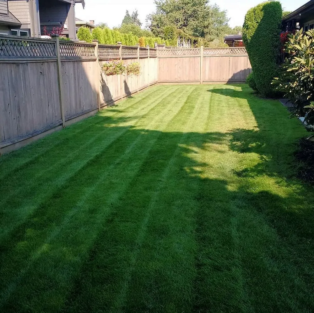 Trusted lawn mowing service experts serving Charlotte, NC - Foxcroft Lawn Care