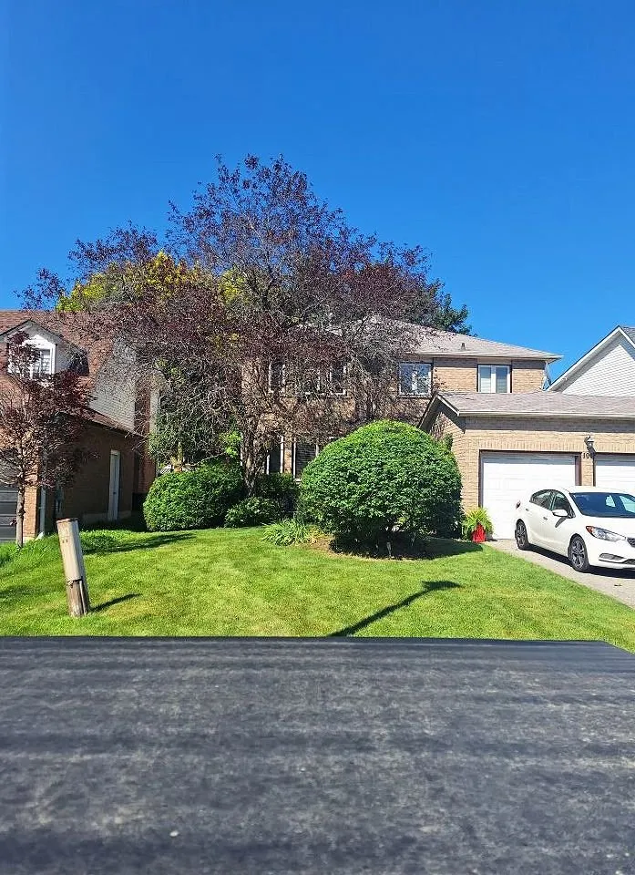 Professional lawn care service in Charlotte, NC by Foxcroft Lawn Care