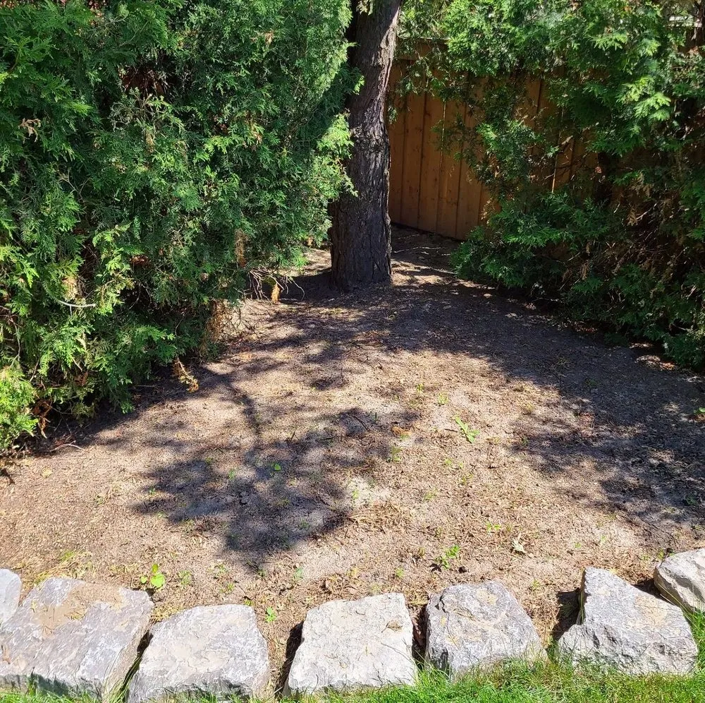 Expert outdoor landscaping for beautiful yards in Charlotte, NC by Foxcroft Lawn Care