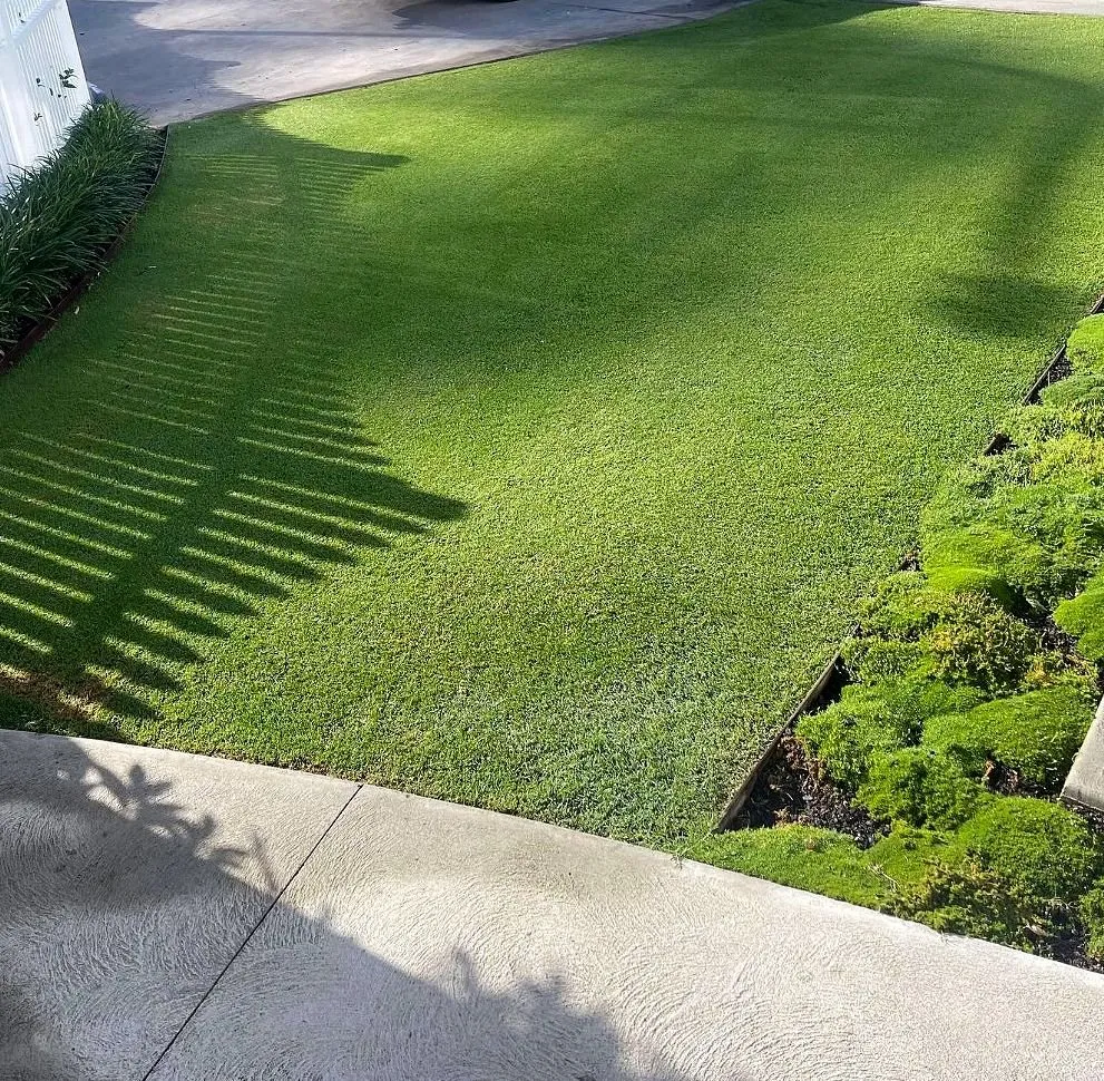 Local landscape installation experts serving Charlotte, NC - Foxcroft Lawn Care
