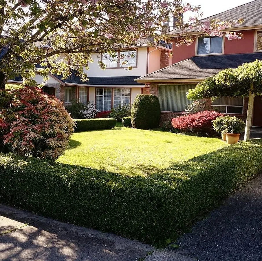 Professional lawn care service experts serving Charlotte, NC - Foxcroft Lawn Care