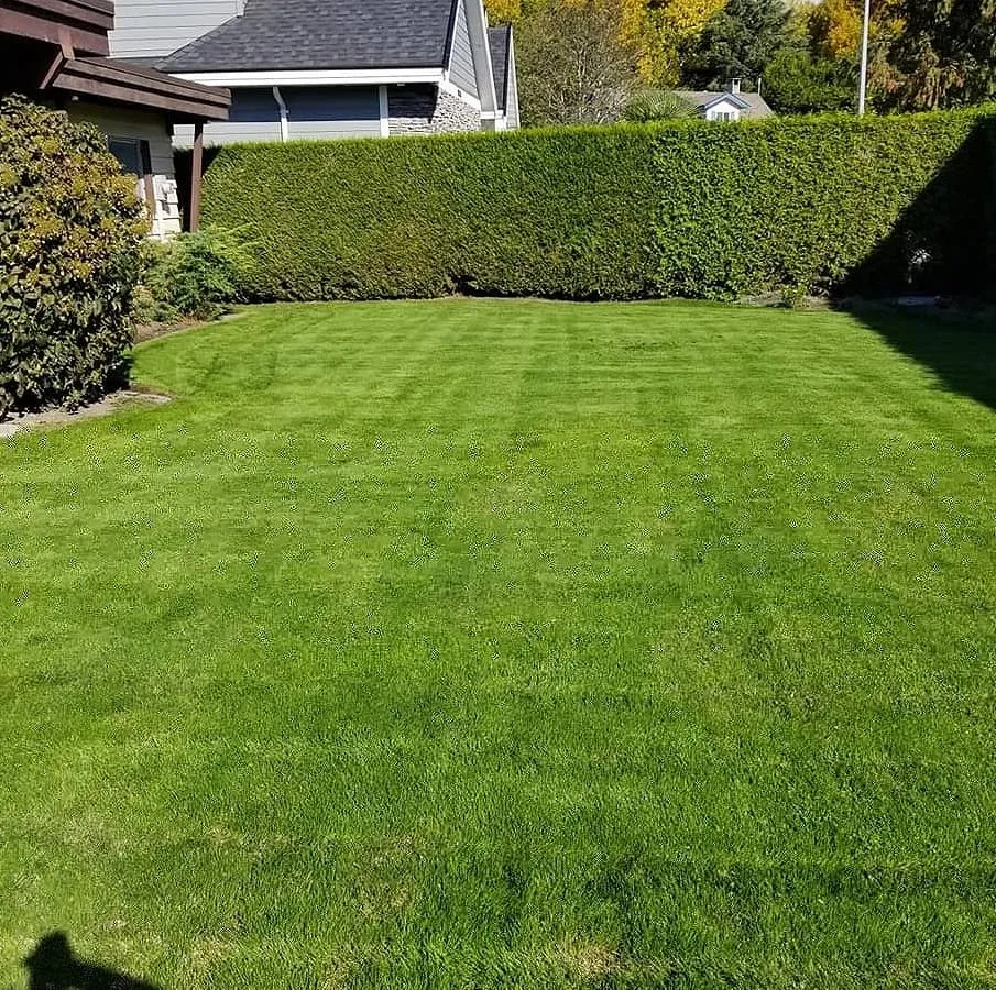 Trusted garden landscaping for residential properties in Charlotte, NC by Foxcroft Lawn Care