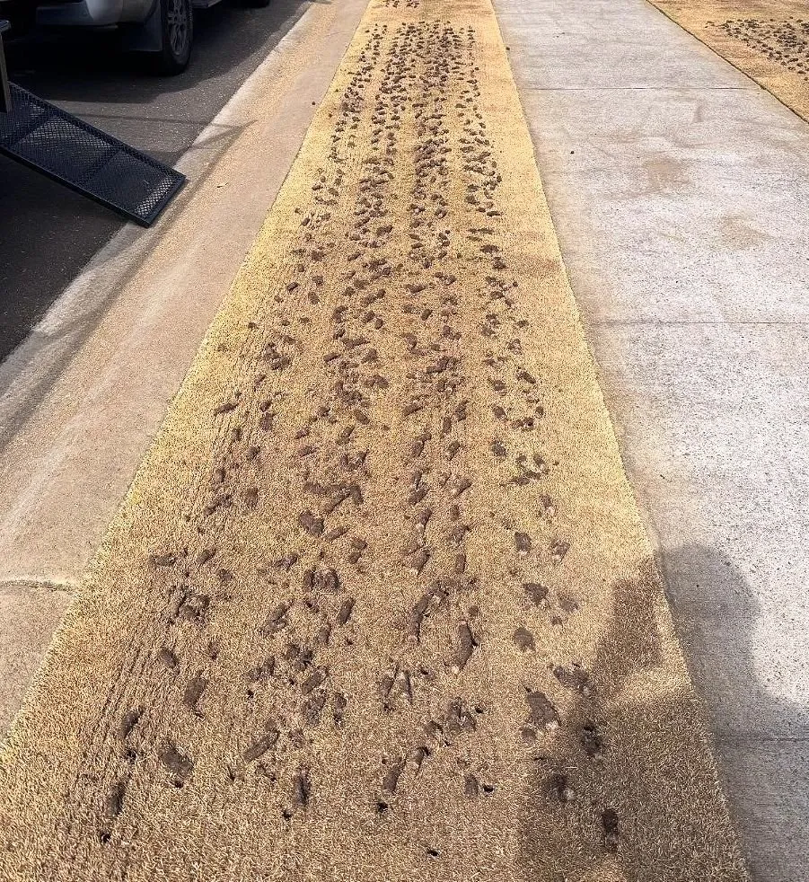 Affordable residential landscaping for homes in Charlotte, NC by Foxcroft Lawn Care