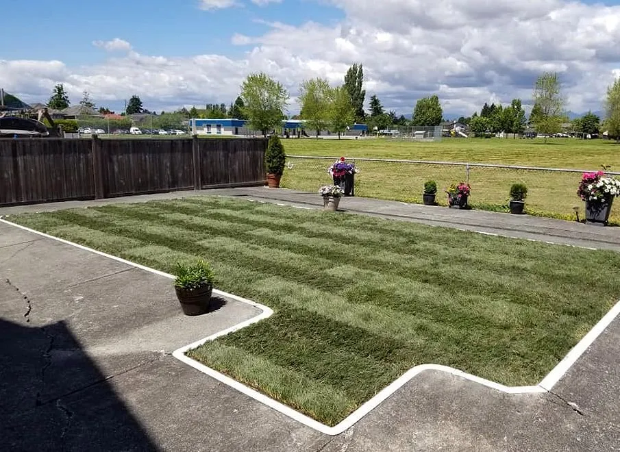 Professional outdoor landscaping experts serving Charlotte, NC - Foxcroft Lawn Care