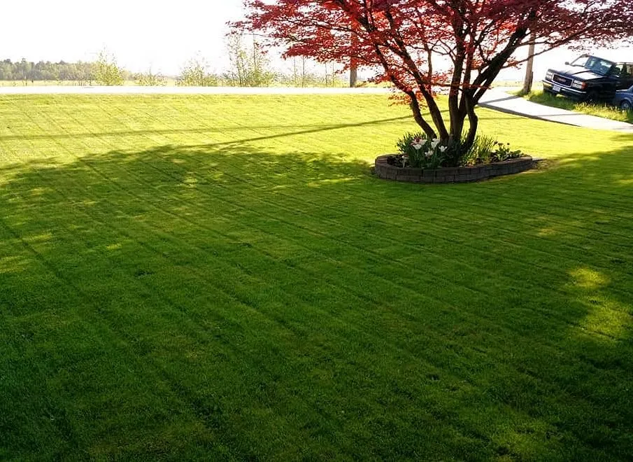 Affordable outdoor landscaping for beautiful yards in Charlotte, NC by Foxcroft Lawn Care