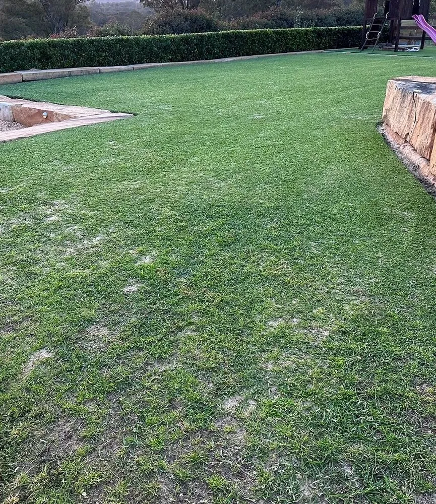 Affordable landscaping services for residential properties in Charlotte, NC by Foxcroft Lawn Care