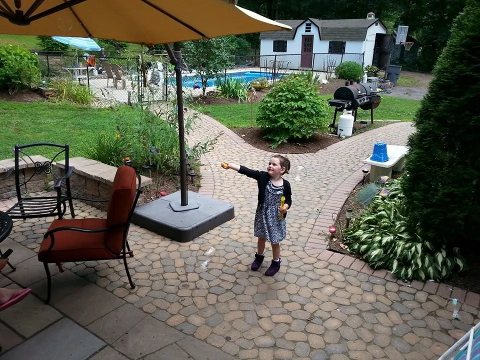 Top-rated yard cleanup service in Somers, CT - Foxdale Landscaping