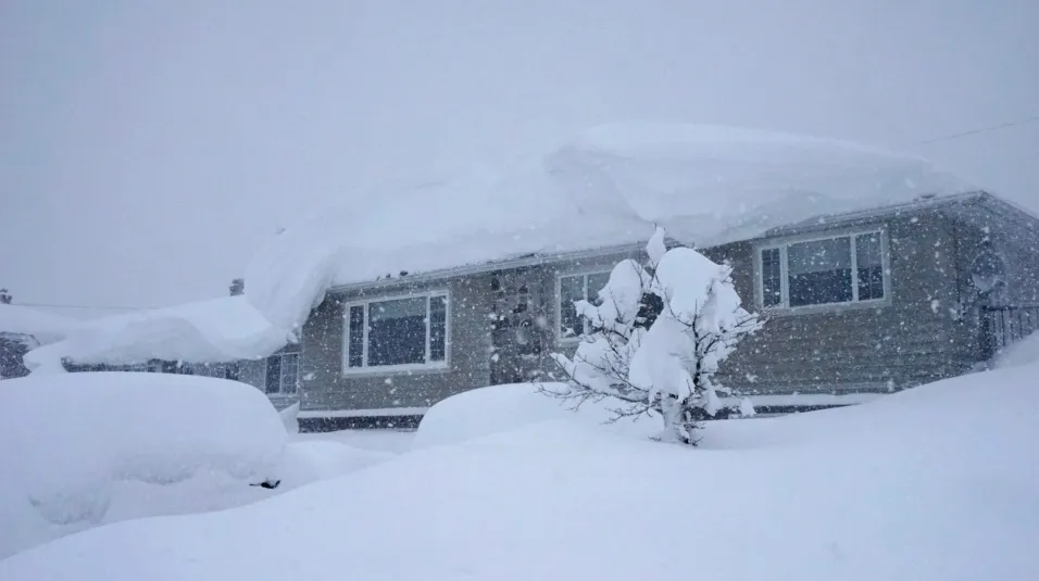 Local lawn care service in Somers, CT by Foxdale Landscaping