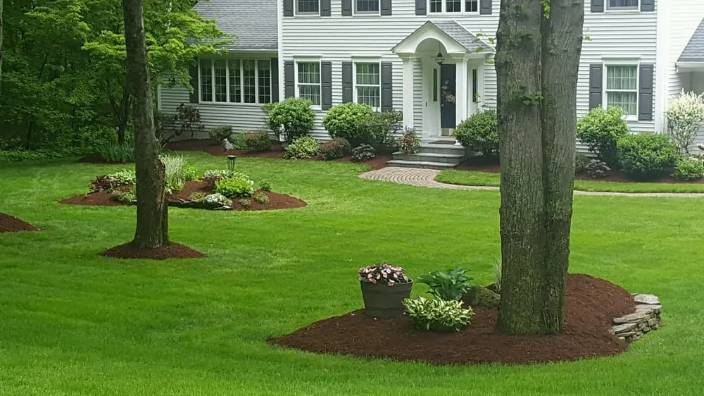 Expert yard cleanup service experts serving Somers, CT - Foxdale Landscaping
