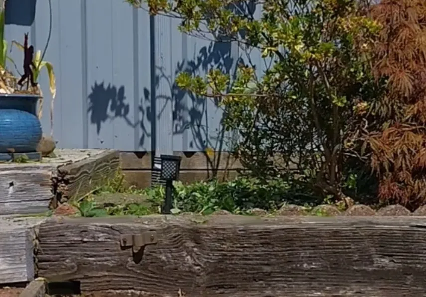 Expert outdoor landscaping experts serving Brookings, OR - Foxden Landscaping