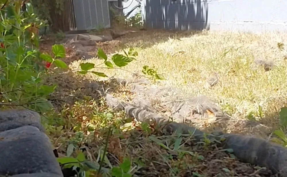 Trusted landscape installation for year-round maintenance in Brookings, OR by Foxden Landscaping