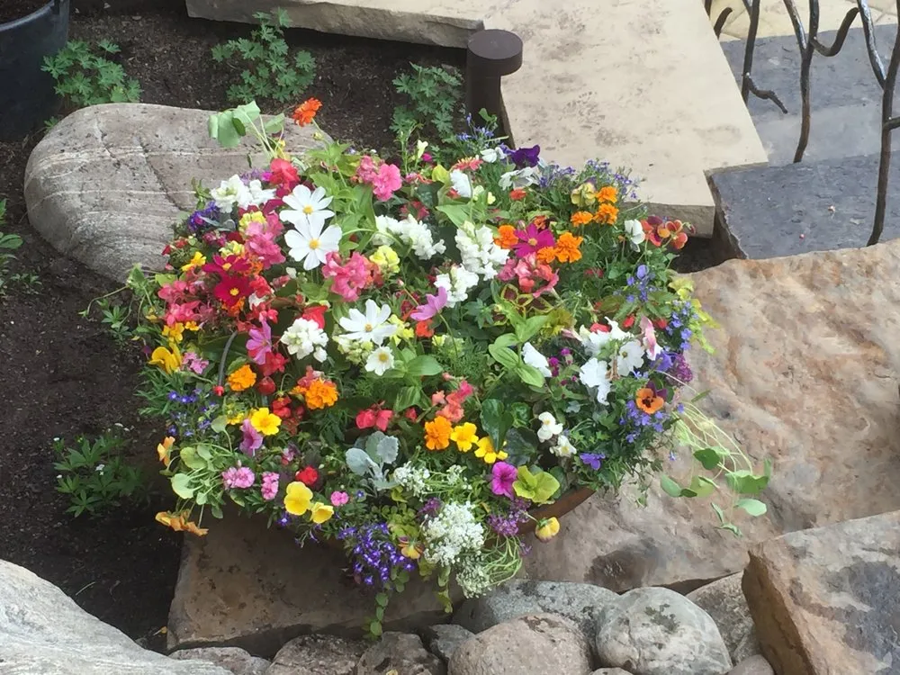 Affordable landscape installation for residential properties across Eugene, OR - Foxglove Custom Plantscapes