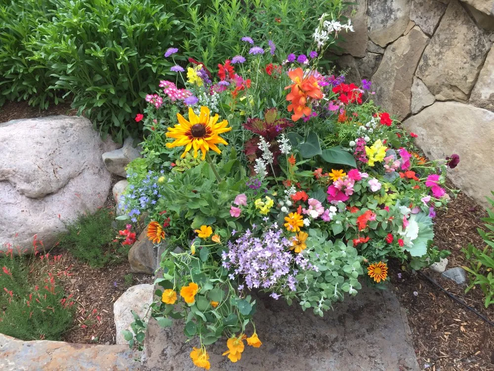 Affordable outdoor landscaping for year-round maintenance across Eugene, OR - Foxglove Custom Plantscapes
