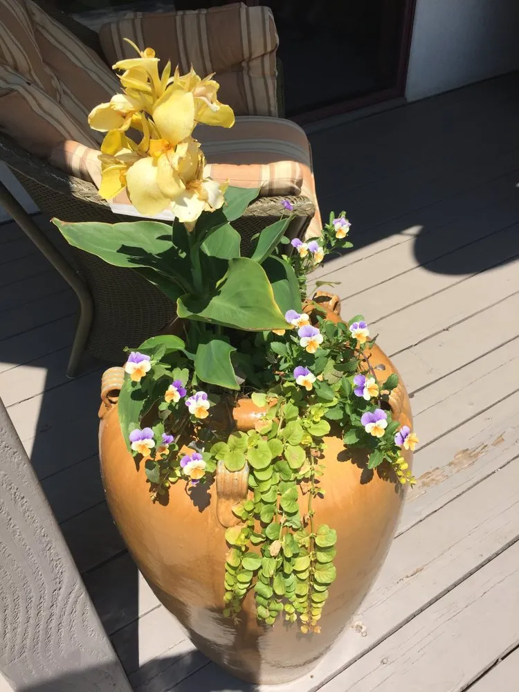 Top-rated outdoor landscaping in Eugene, OR - Foxglove Custom Plantscapes