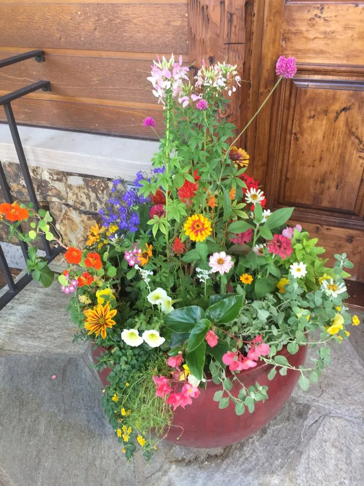 Affordable landscaping services in Eugene, OR by Foxglove Custom Plantscapes