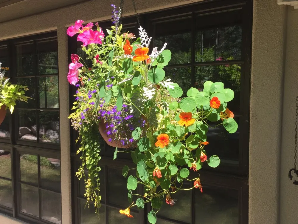 Local residential landscaping experts serving Eugene, OR - Foxglove Custom Plantscapes