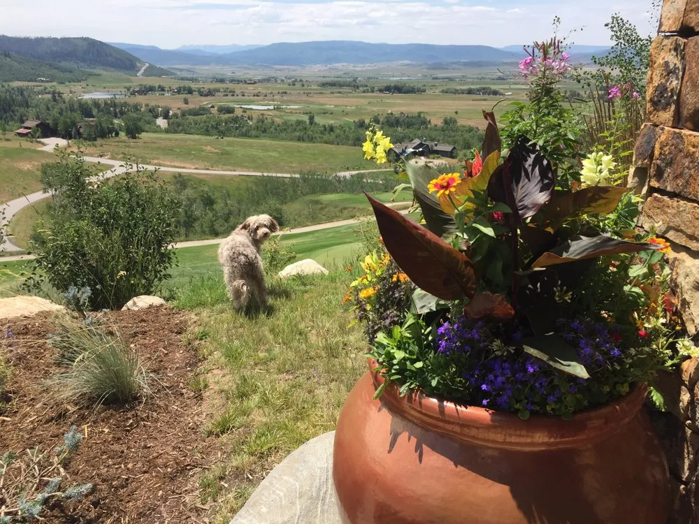 Custom yard maintenance in Eugene, OR by Foxglove Custom Plantscapes