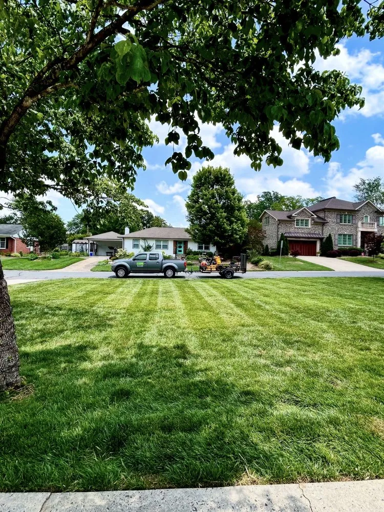 Expert yard cleanup service in Charlotte, NC by Foxhollow Lawn Care