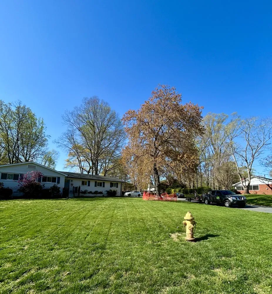 Local outdoor landscaping experts serving Charlotte, NC - Foxhollow Lawn Care