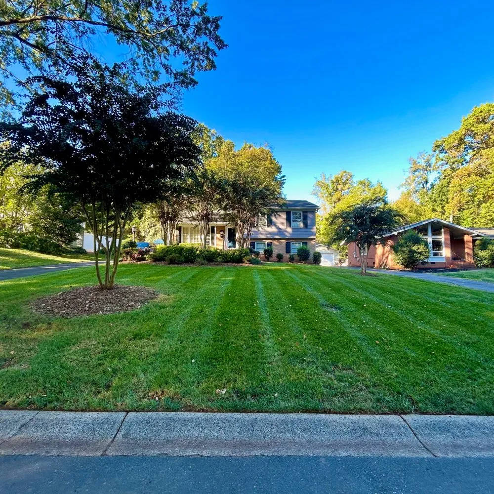 Reliable landscaping services for beautiful yards in Charlotte, NC by Foxhollow Lawn Care