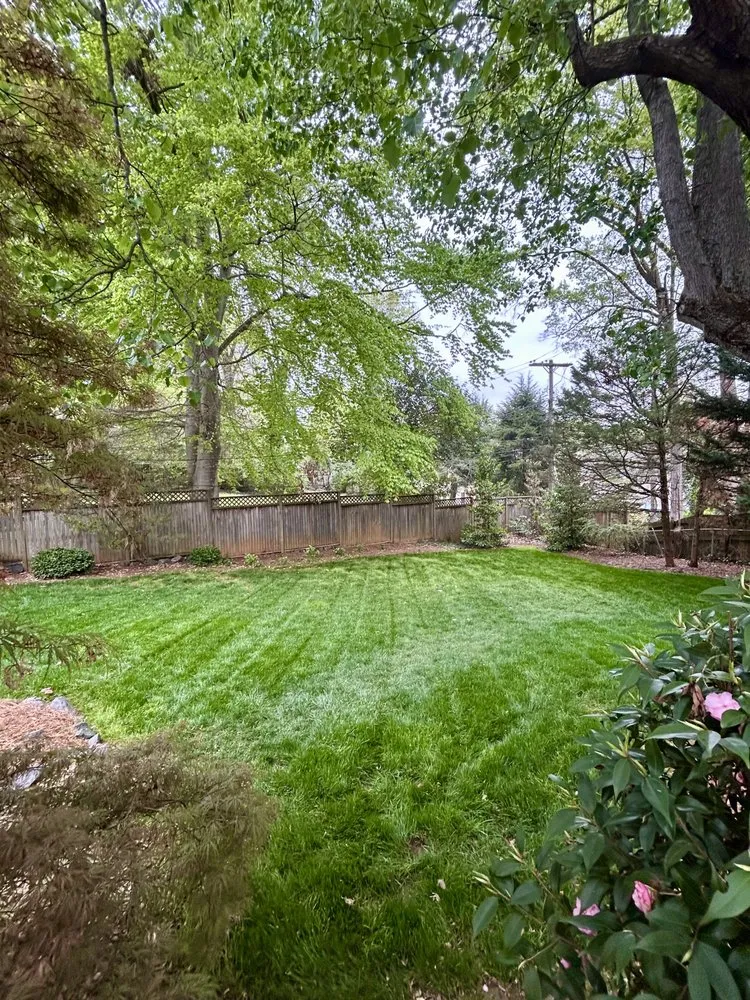 Reliable residential landscaping near you in Charlotte, NC by Foxhollow Lawn Care