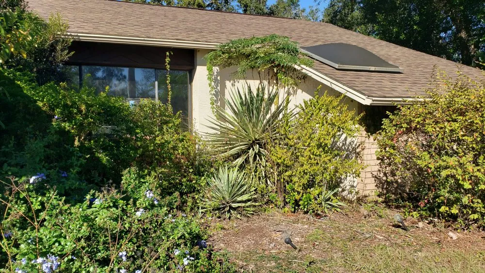 Trusted landscape design in Dover, FL by Fox's Cleanup