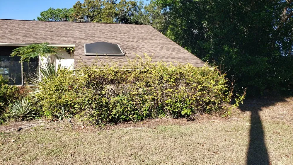 Expert landscape installation in Dover, FL - Fox's Cleanup