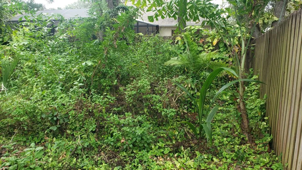 Custom yard cleanup service in Dover, FL by Fox's Cleanup