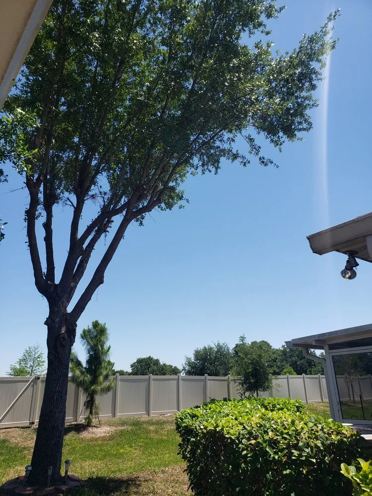 Local landscaping services experts serving Dover, FL - Fox's Cleanup