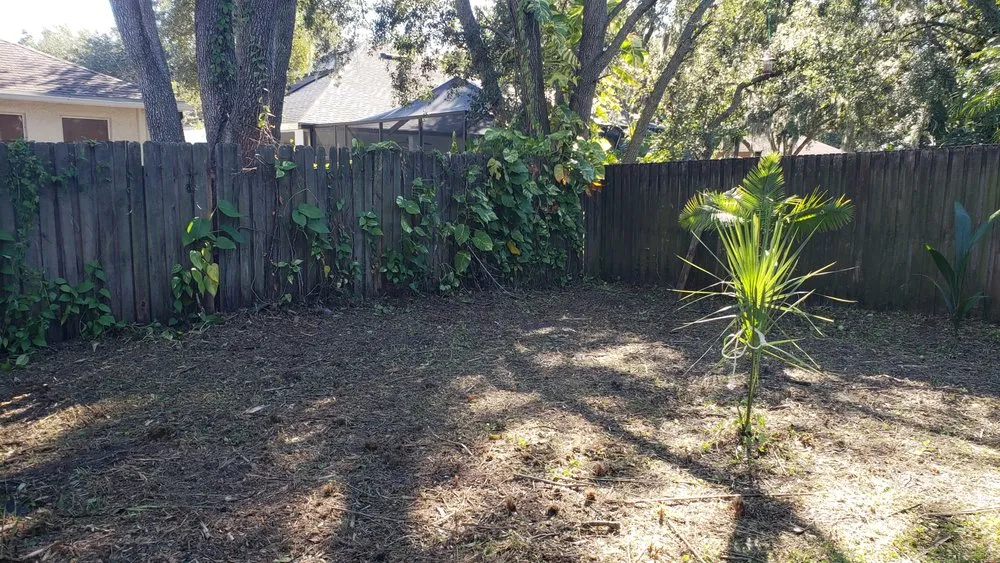 Custom yard cleanup service with custom design in Dover, FL by Fox's Cleanup
