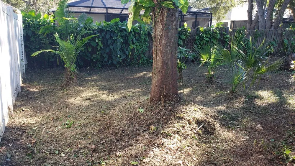 Top-rated landscaping services in Dover, FL by Fox's Cleanup