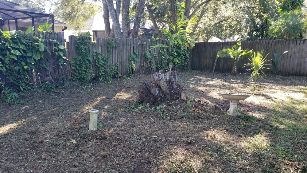Professional residential landscaping in Dover, FL - Fox's Cleanup