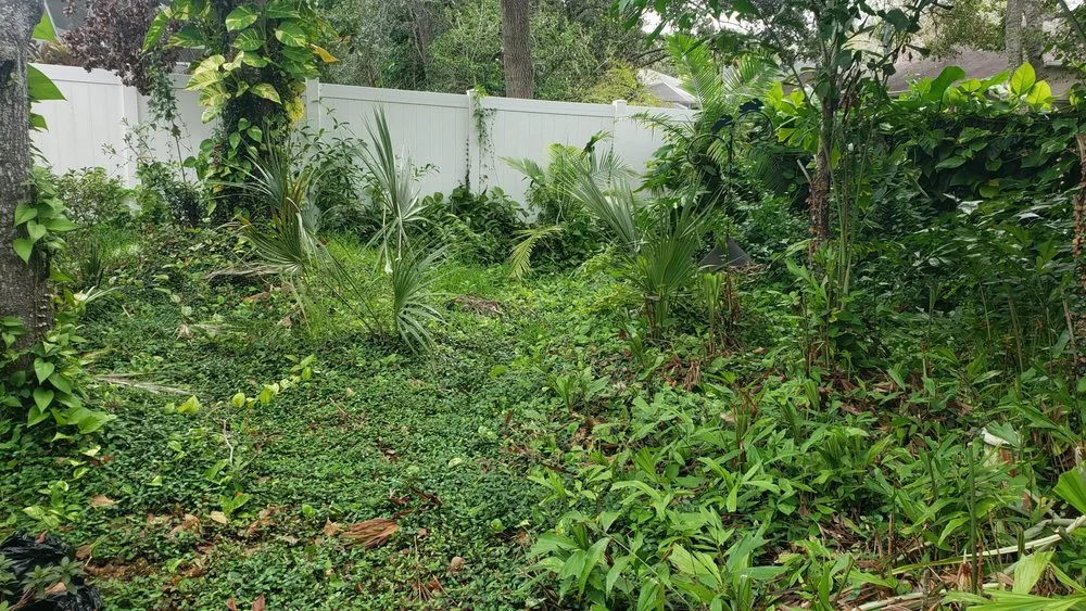 Local lawn mowing service in Dover, FL by Fox's Cleanup