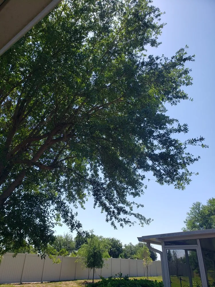 Professional garden landscaping for homes across Dover, FL - Fox's Cleanup