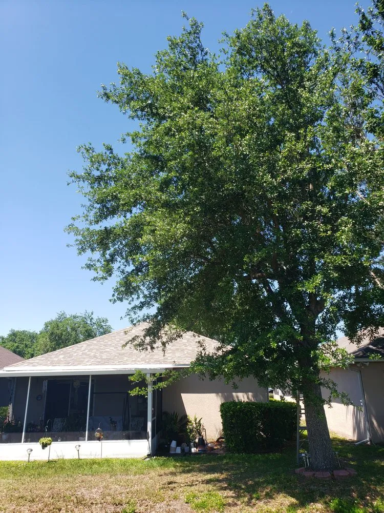 Professional lawn mowing service experts serving Dover, FL - Fox's Cleanup