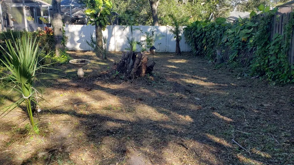 Reliable landscape design experts serving Dover, FL - Fox's Cleanup