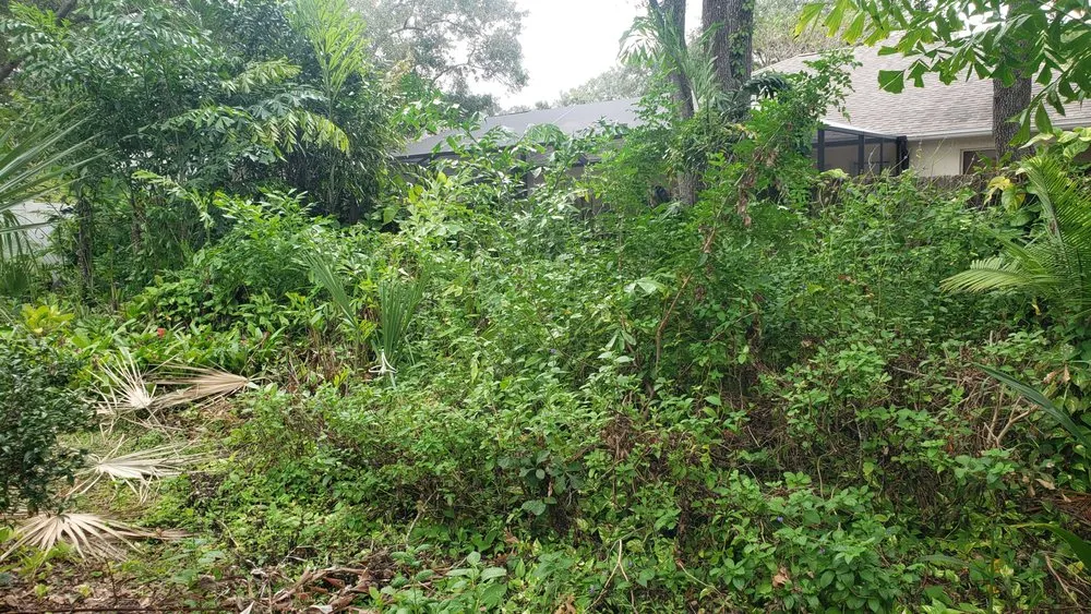 Expert lawn care service experts serving Dover, FL - Fox's Cleanup