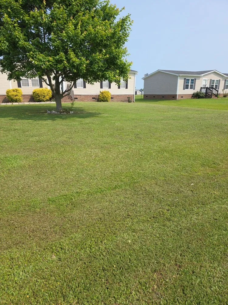 Affordable garden landscaping experts serving Edenton, NC - Fox's lawn