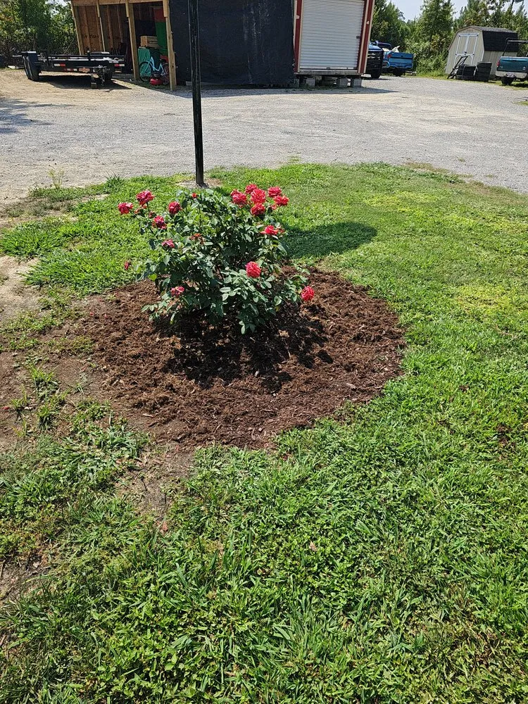 Custom landscape design for homes in Edenton, NC by Fox's lawn